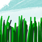 VegiCo Wheatgrass label